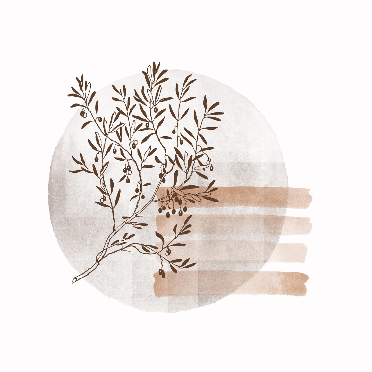 Ilustração botânica de um ramo de oliveira sobre manchas em tons de areia.